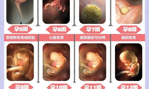 怀孕三个多月下面隐隐约约有一点疼-【怀孕三个月下体刺痛感】怀孕三个月下体隐隐疼 - 怀孕3个月阴道口不舒服网